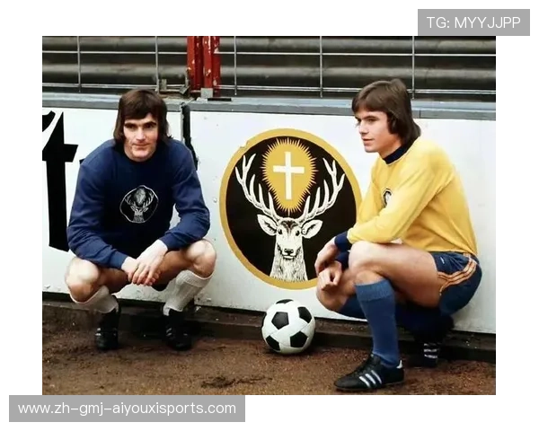 德甲球队胸口赞助商的国家分析