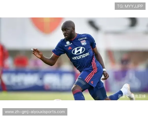 法甲赛季外援配置优化及效果评估报告